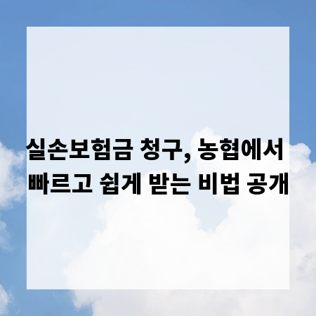 실손보험금 청구, 농협에서 빠르고 쉽게 받는 비법 공개