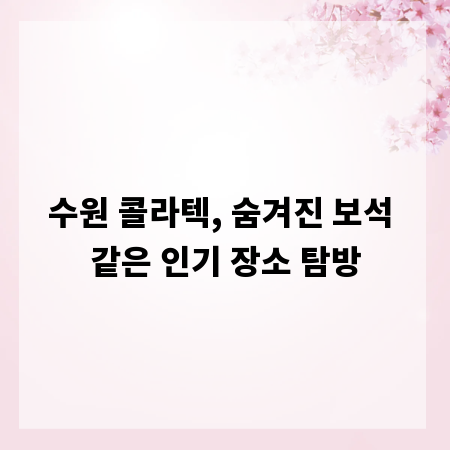 수원 콜라텍, 숨겨진 보석 같은 인기 장소 탐방