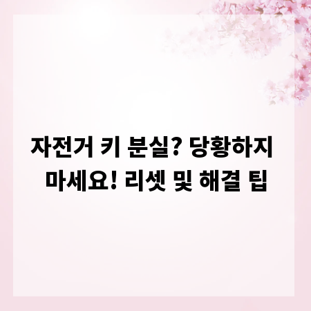 자전거 키 분실? 당황하지 마세요! 리셋 및 해결 팁