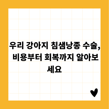 우리 강아지 침샘낭종 수술, 비용부터 회복까지 알아보세요