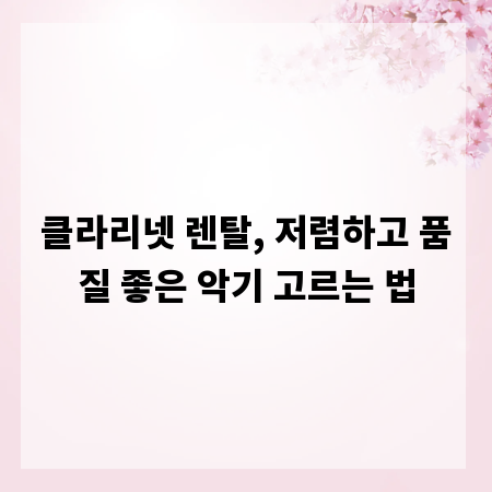 클라리넷 렌탈, 저렴하고 품질 좋은 악기 고르는 법