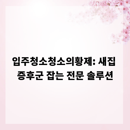 입주청소청소의황제: 새집 증후군 잡는 전문 솔루션