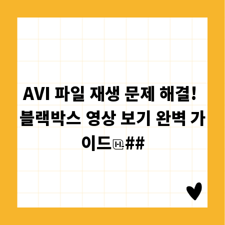 AVI 파일 재생 문제 해결! 블랙박스 영상 보기 완벽 가이드
##