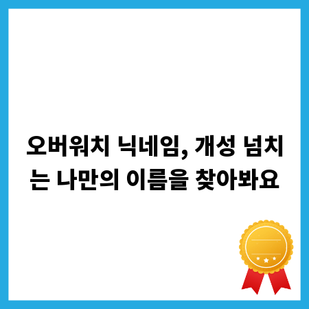 오버워치 닉네임, 개성 넘치는 나만의 이름을 찾아봐요