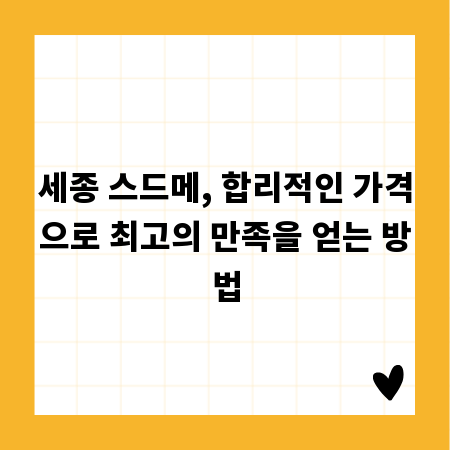 세종 스드메, 합리적인 가격으로 최고의 만족을 얻는 방법