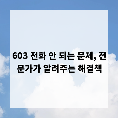 603 전화 안 되는 문제, 전문가가 알려주는 해결책