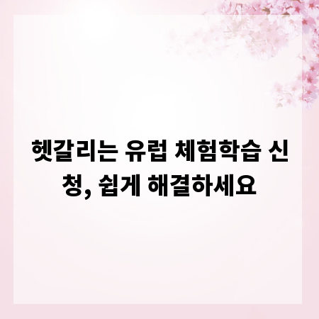 헷갈리는 유럽 체험학습 신청, 쉽게 해결하세요