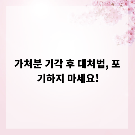 가처분 기각 후 대처법, 포기하지 마세요!