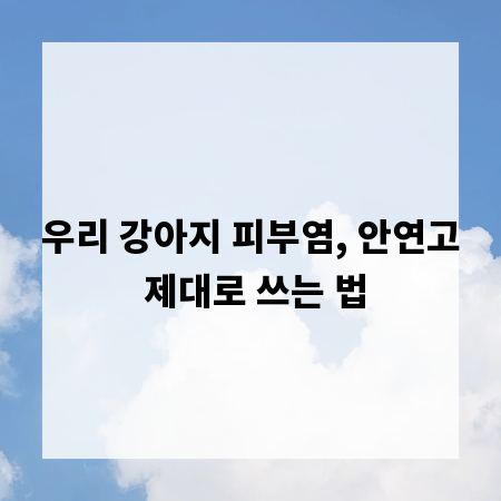 우리 강아지 피부염, 안연고 제대로 쓰는 법