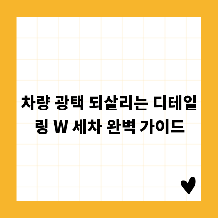 차량 광택 되살리는 디테일링 W 세차 완벽 가이드