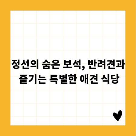 정선의 숨은 보석, 반려견과 즐기는 특별한 애견 식당