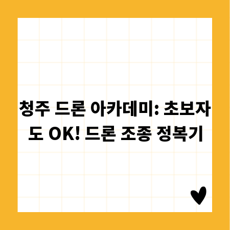 청주 드론 아카데미: 초보자도 OK! 드론 조종 정복기