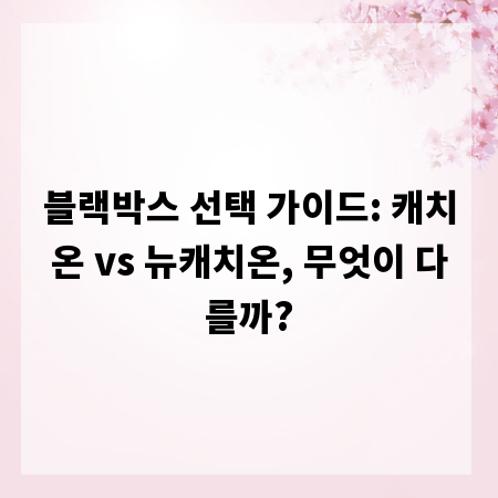 블랙박스 선택 가이드: 캐치온 vs 뉴캐치온, 무엇이 다를까?