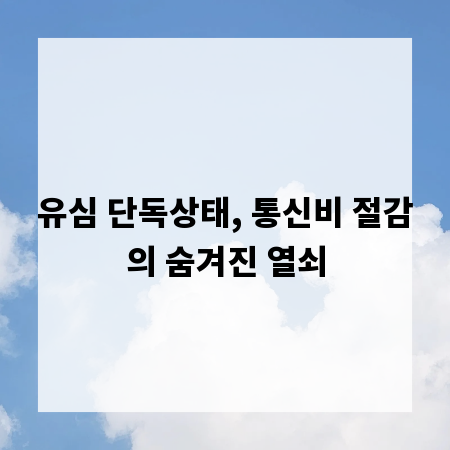유심 단독상태, 통신비 절감의 숨겨진 열쇠