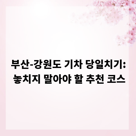 부산-강원도 기차 당일치기: 놓치지 말아야 할 추천 코스