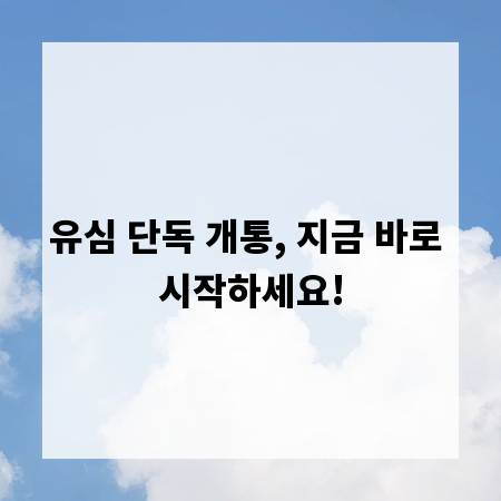유심 단독 개통, 지금 바로 시작하세요!