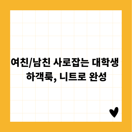 여친/남친 사로잡는 대학생 하객룩, 니트로 완성