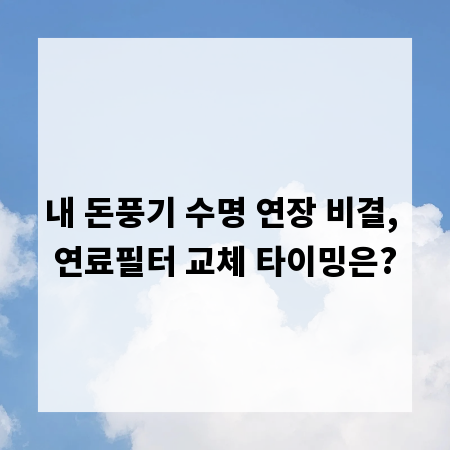 내 돈풍기 수명 연장 비결, 연료필터 교체 타이밍은?