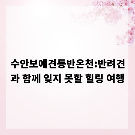 수안보애견동반온천:반려견과 함께 잊지 못할 힐링 여행