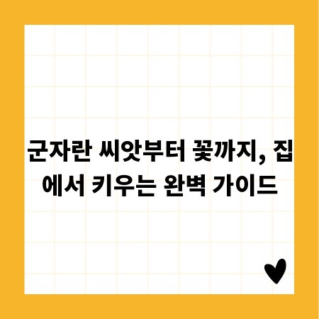 군자란 씨앗부터 꽃까지, 집에서 키우는 완벽 가이드