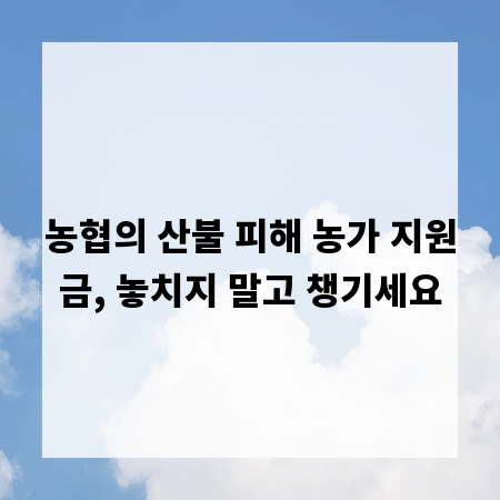 농협의 산불 피해 농가 지원금, 놓치지 말고 챙기세요