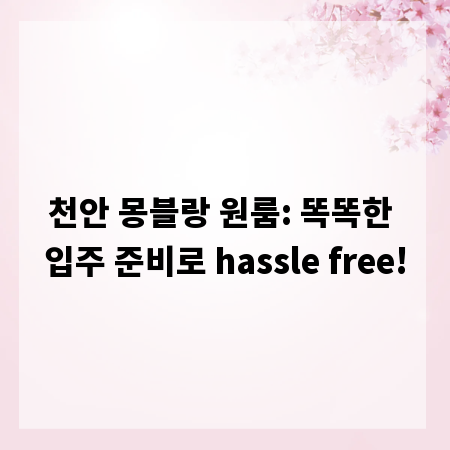 천안 몽블랑 원룸: 똑똑한 입주 준비로 hassle free!
