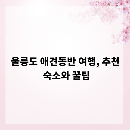 울릉도 애견동반 여행, 추천 숙소와 꿀팁