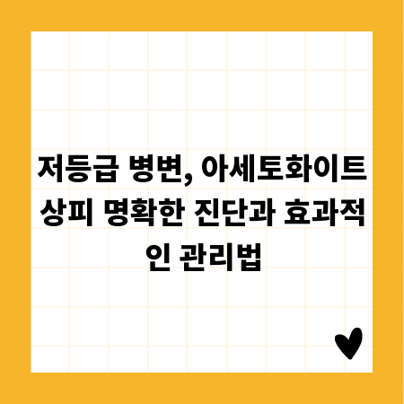 저등급 병변, 아세토화이트상피 명확한 진단과 효과적인 관리법