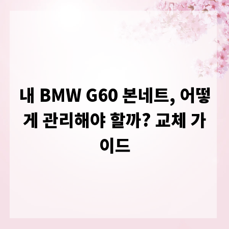 내 BMW G60 본네트, 어떻게 관리해야 할까? 교체 가이드