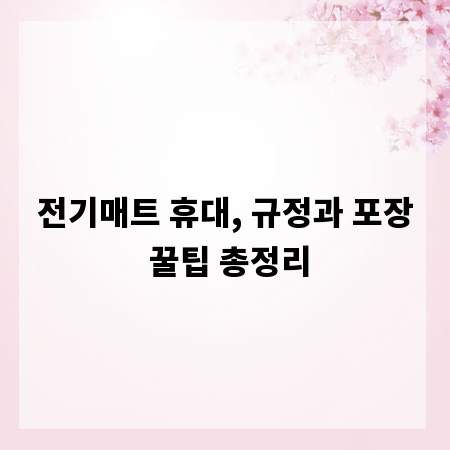 전기매트 휴대, 규정과 포장 꿀팁 총정리