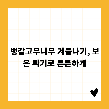 뱅갈고무나무 겨울나기, 보온 싸기로 튼튼하게