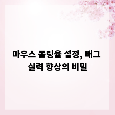 마우스 폴링율 설정, 배그 실력 향상의 비밀