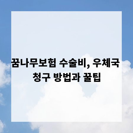 꿈나무보험 수술비, 우체국 청구 방법과 꿀팁