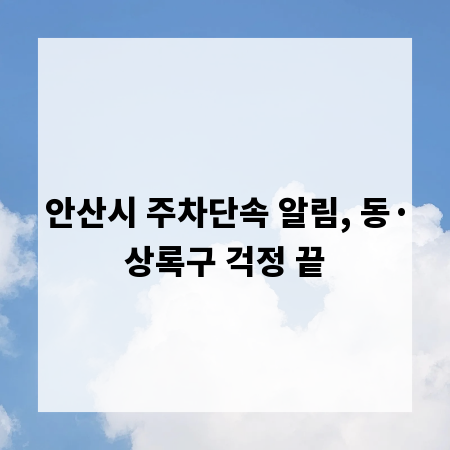 안산시 주차단속 알림, 동&middot;상록구 걱정 끝