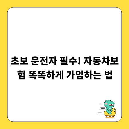 초보 운전자 필수! 자동차보험 똑똑하게 가입하는 법