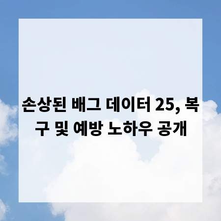 손상된 배그 데이터 25, 복구 및 예방 노하우 공개