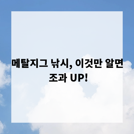 메탈지그 낚시, 이것만 알면 조과 UP!