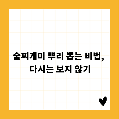 술찌개미 뿌리 뽑는 비법, 다시는 보지 않기