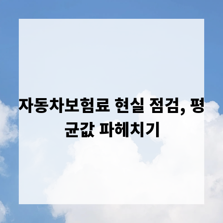 자동차보험료 현실 점검, 평균값 파헤치기