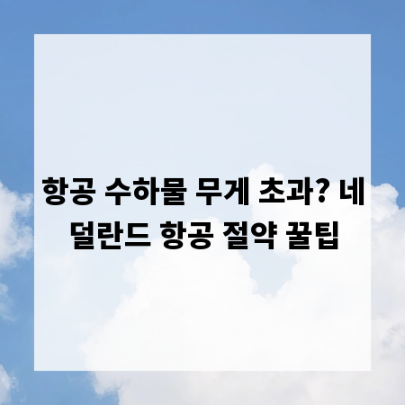 항공 수하물 무게 초과? 네덜란드 항공 절약 꿀팁