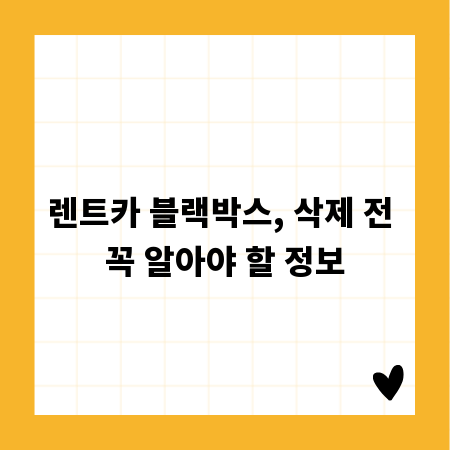 렌트카 블랙박스, 삭제 전 꼭 알아야 할 정보