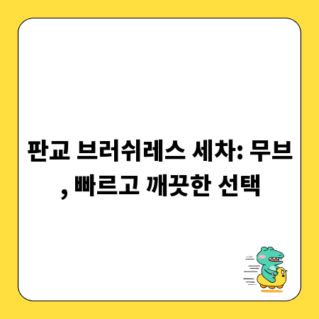 판교 브러쉬레스 세차: 무브, 빠르고 깨끗한 선택