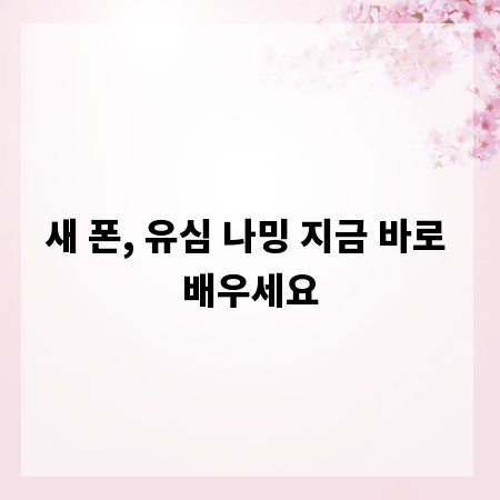 새 폰, 유심 나밍 지금 바로 배우세요