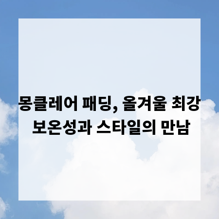 몽클레어 패딩, 올겨울 최강 보온성과 스타일의 만남