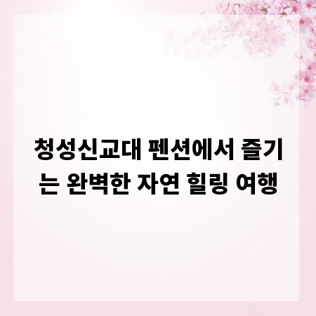 청성신교대 펜션에서 즐기는 완벽한 자연 힐링 여행