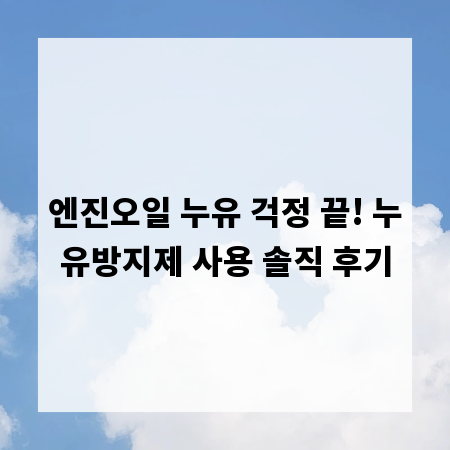 엔진오일 누유 걱정 끝! 누유방지제 사용 솔직 후기
