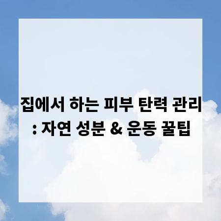 집에서 하는 피부 탄력 관리: 자연 성분 & 운동 꿀팁
