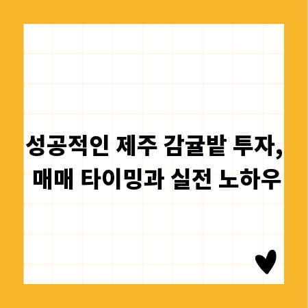 성공적인 제주 감귤밭 투자, 매매 타이밍과 실전 노하우