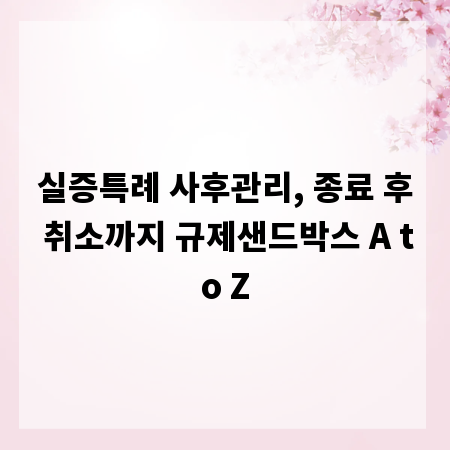 실증특례 사후관리, 종료 후 취소까지 규제샌드박스 A to Z