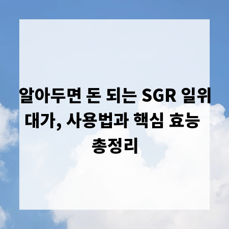 알아두면 돈 되는 SGR 일위대가, 사용법과 핵심 효능 총정리